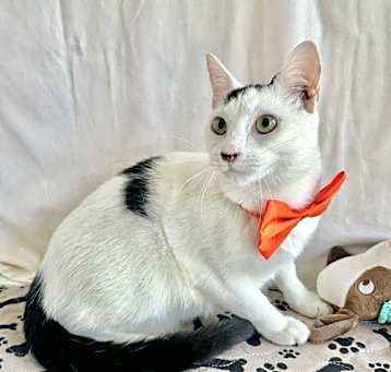 Photo of MALACHI