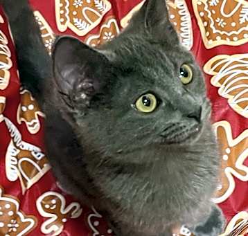 Photo of Bumble