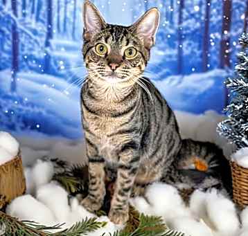 Photo of Lenora