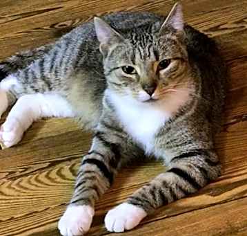 Photo of Dudley