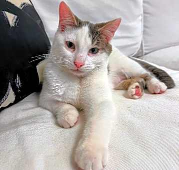 Photo of Barry