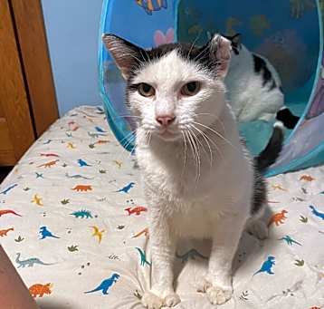 Photo of Bernard