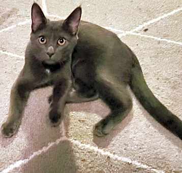 Photo of Grayson
