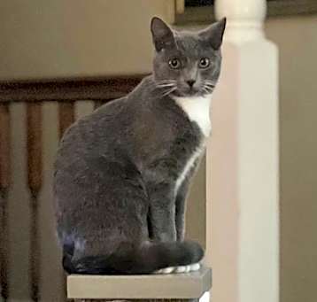Photo of Mr. Darcy