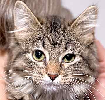 Photo of Kiki