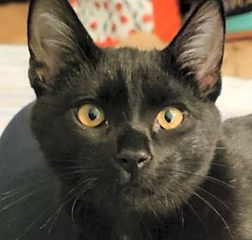 Photo of Jasper