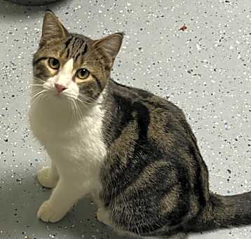 Photo of Kit'N