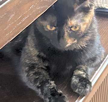Photo of LUCY