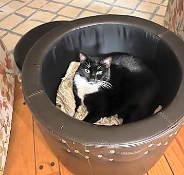 Photo of MiMi