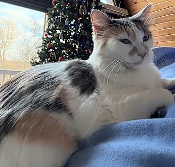 Photo of Mandy
