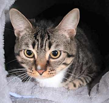 Photo of Luna