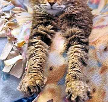 Photo of Arwin