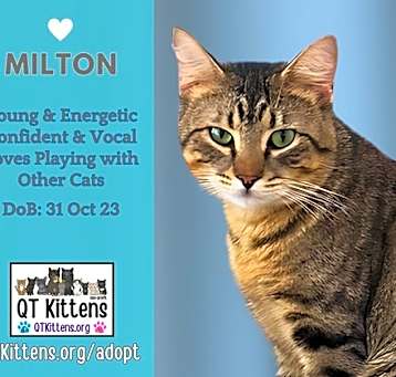 Photo of Milton