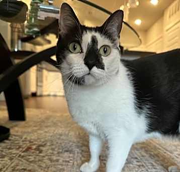 Photo of Lola