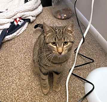 Photo of Tot