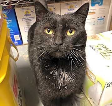 Photo of Suzie 21-249