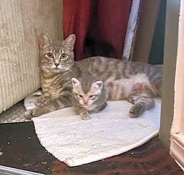 Photo of Momma Mia