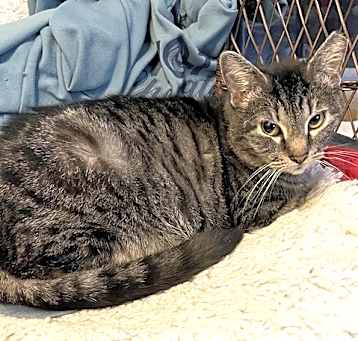 Photo of KITTY WARDEN