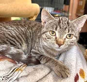 Photo of Ophelia