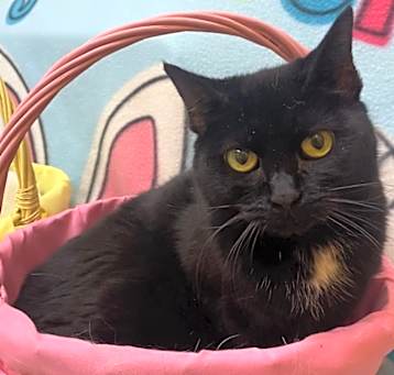 Photo of Missy