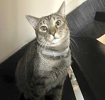 Photo of Ruti