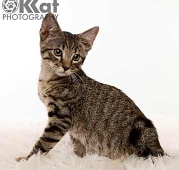 Photo of Claudius