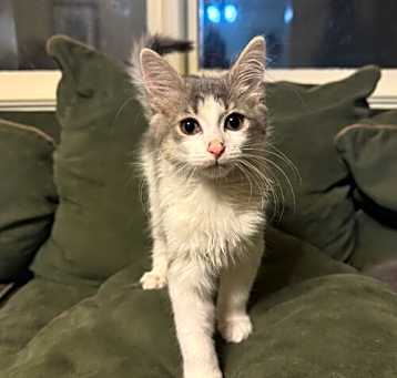 Photo of Cloudy