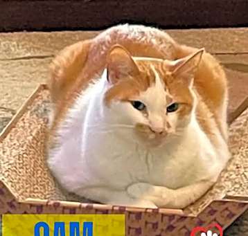 Photo of Sam