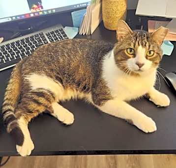 Photo of Buster