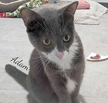 Photo of Adam