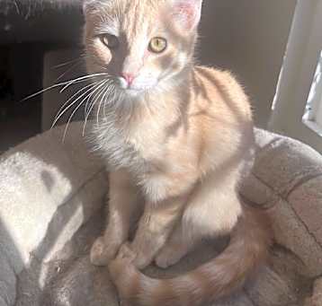 Photo of GRAHAM