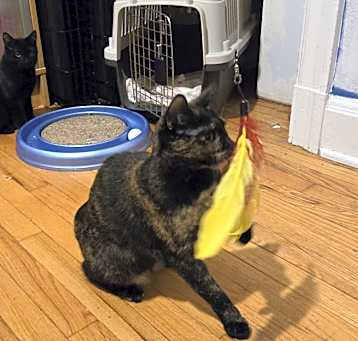 Photo of Marie