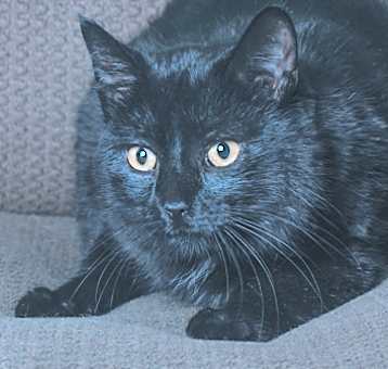 Photo of Booger