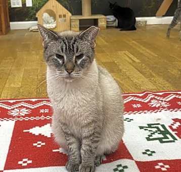 Photo of Otis