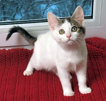 Photo of Dusty