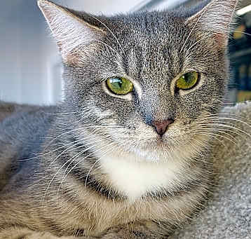 Photo of Mendon