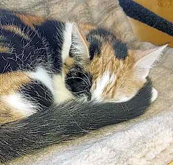 Photo of Adriene
