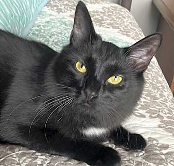 Photo of Douggie
