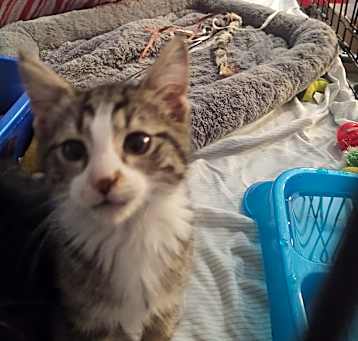 Photo of Ziggy