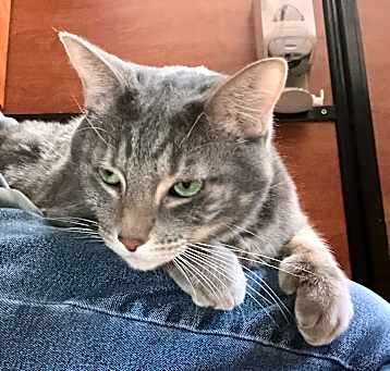 Photo of Zuri