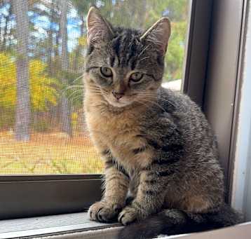 Photo of Samantha