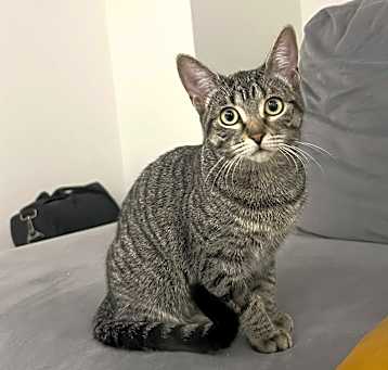 Photo of Hazel