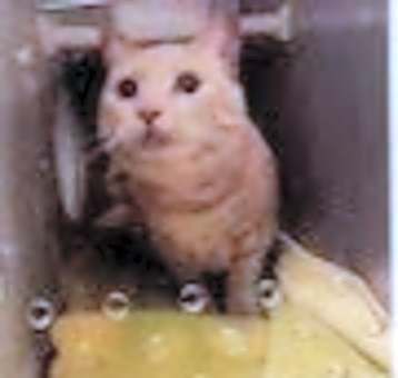 Photo of Matilda