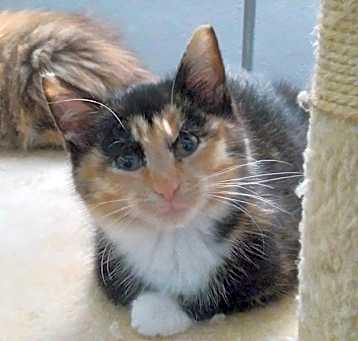 Photo of Marcella