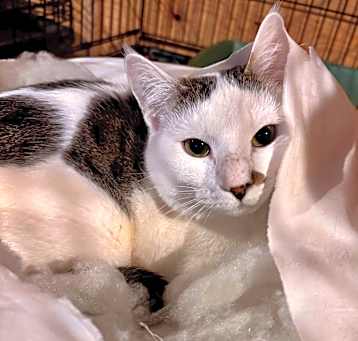 Photo of Jean Luc