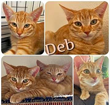 Photo of Deb