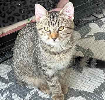 Photo of Belle O