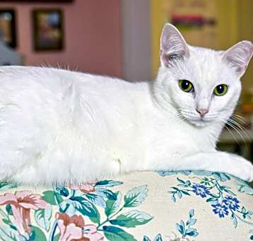 Photo of Aspen