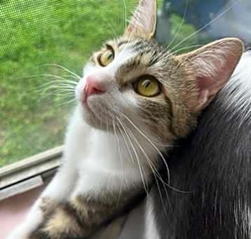 Photo of Delilah