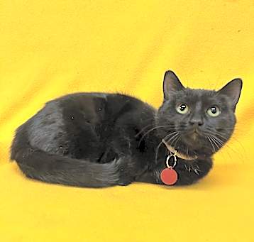 Photo of Fiora